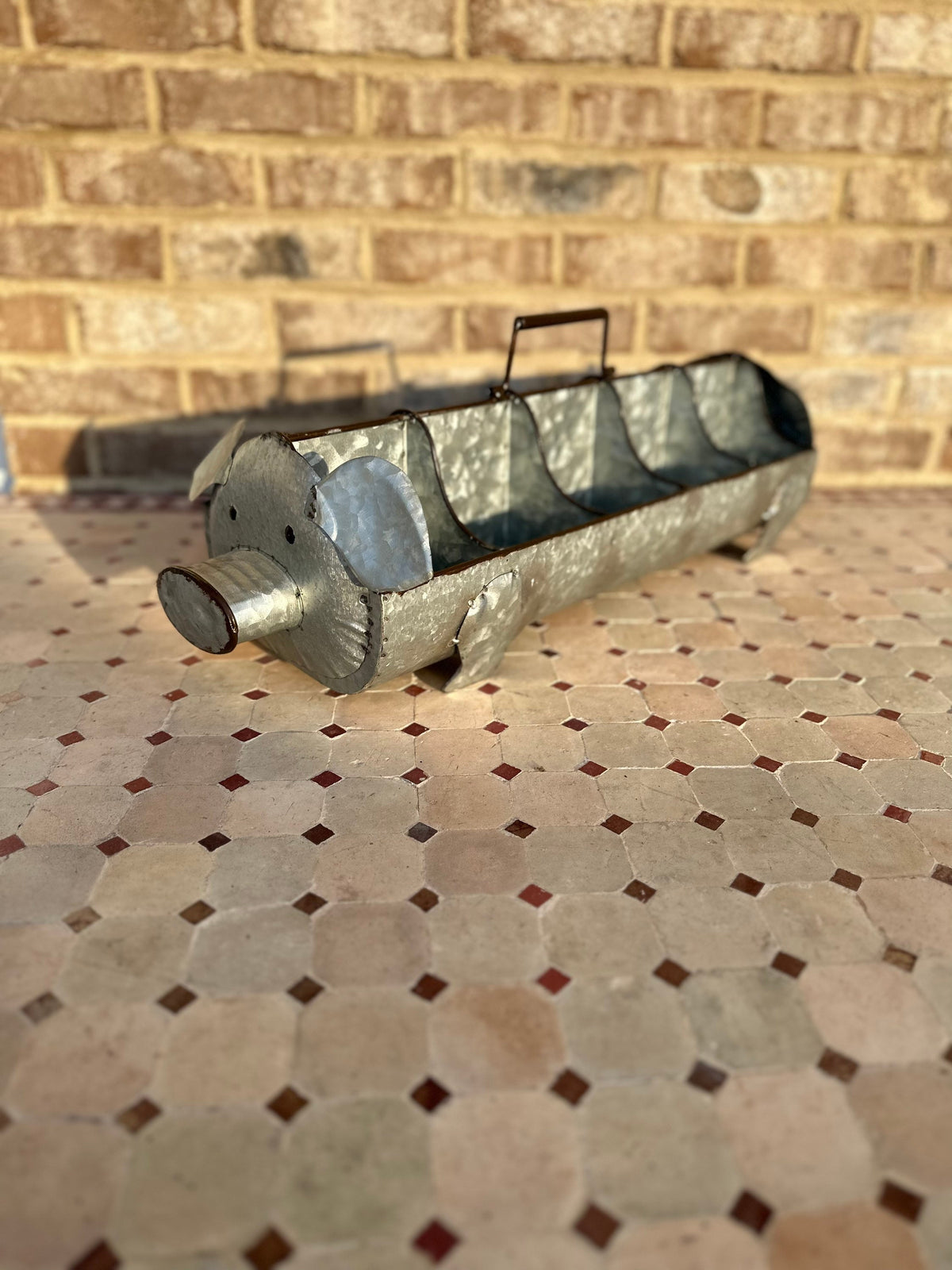 Large 10 Section Divided Metal Pig Caddy Tray