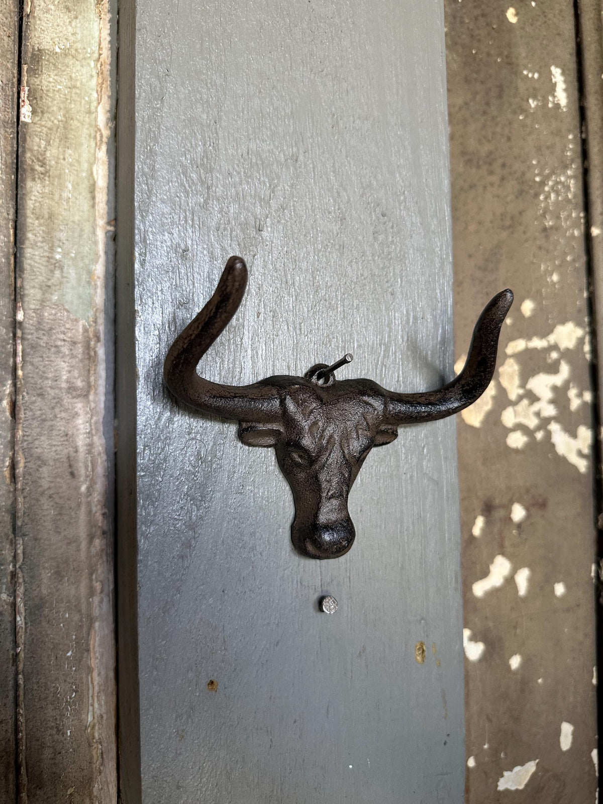 Cast Iron Long Horn Bull Wall Hook