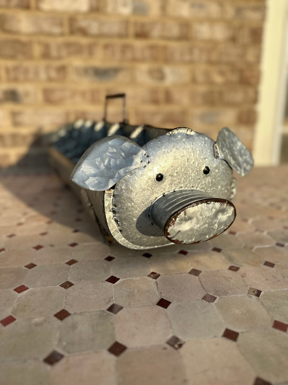 Large 10 Section Divided Metal Pig Caddy Tray