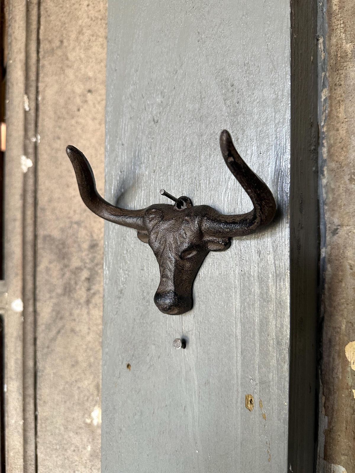 Cast Iron Long Horn Bull Wall Hook